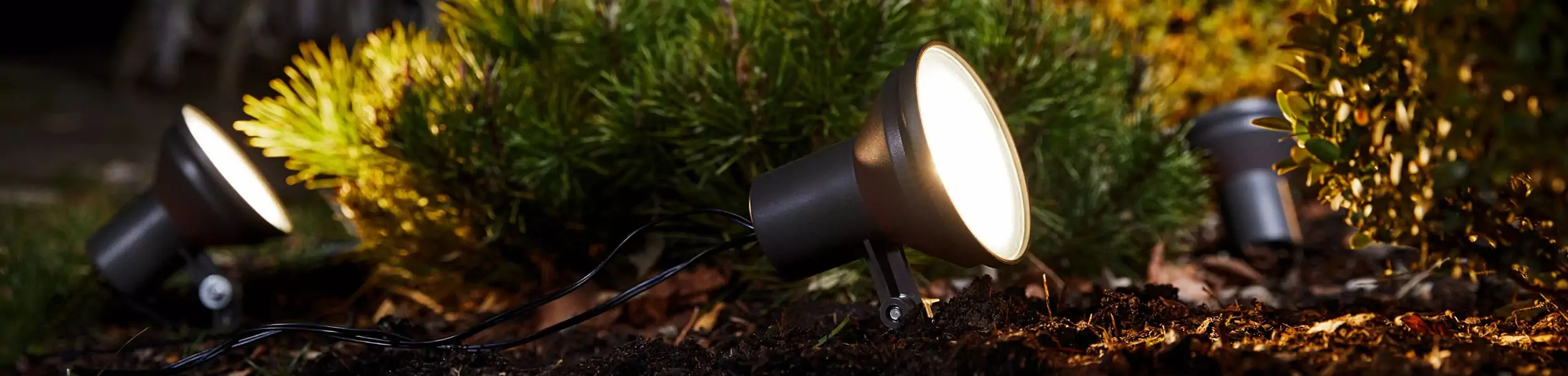 Landscape Lighting