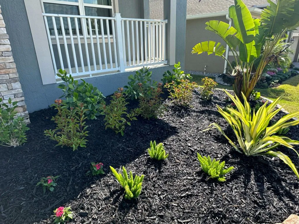 Img 0817