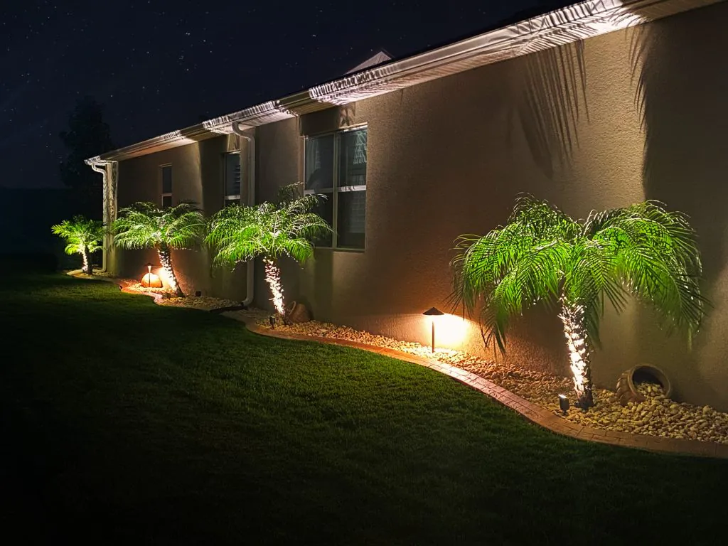 Accent Lighting On Palms