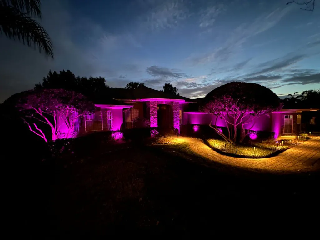 Pink Outdoor LED Lighting