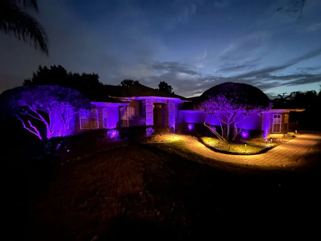 Purple Outdoor LED Lighting